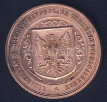 1866. "Rimaszombat-Magyar Orvosok és Természetvizsgálók..." Br plakett szign.: Seidan T:2