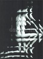 Eltérő időben készült aktfotók tétele, 9 db modern nagyítás jelzés nélkül, 21x15 cm