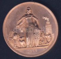 1866. "Rimaszombat-Magyar Orvosok és Természetvizsgálók..." Br plakett szign.: Seidan T:2