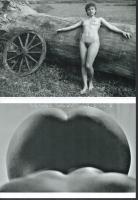 Eltérő időben készült aktfotók tétele, 5 db modern nagyítás jelzés nélkül, 21x15 cm