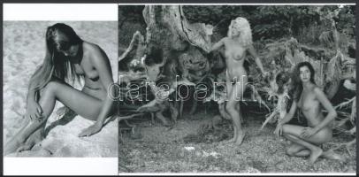 Aktfotók vegyesen, 5 db modern nagyítás, jelzés nélkül, 21x15 cm és 10x15 cm