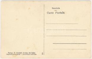 Berethalom, Birthälm, Biertan; Vedere partiala cu Castelul bisericesc / Teilansicht mit Kirchenburg ...