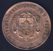 1880. "Szombathely-Magyar Orvosok és Természetvizsgálók..." Br plakett T:2/3+