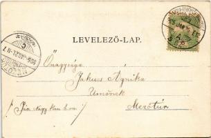 1905 Alvinc, Vintu de Jos; Maros komp / Überfuhr / Mures river ferry + "GYULA-FEHÉRVÁR-BUDAPEST...