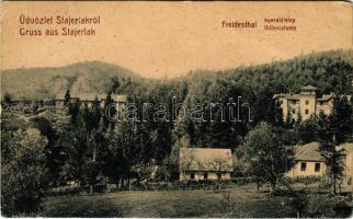 1910 Stájerlak, Steierlak, Stájerlakanina, Steierdorf, Freidenthal nyaralótelep / Villencolonie / villas. W.L. 1177. (EK)