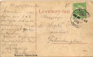 1910 Stájerlak, Steierlak, Stájerlakanina, Steierdorf, Freidenthal nyaralótelep / Villencolonie / vi...