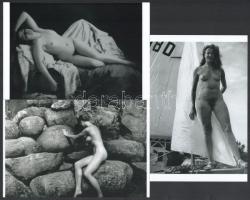 Eltérő időben készült, szolidan erotikus felvételek, 7 db modern nagyítás, jelzés nélkül, 15x10 cm