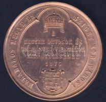1876. "Máriamaros-Magyar Orvosok és Természetvizsgálók..." Br plakett. Szign:Seidán T:2