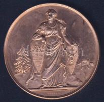 1876. "Máriamaros-Magyar Orvosok és Természetvizsgálók..." Br plakett. Szign:Seidán T:2