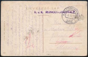 1917 Képeslap, lila K.u.K. REINIGUNGSANSTALT