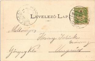 1904 Nagybánya, Baia Mare; Fokhagymás völgy, Lobkovitz Altárna bányabejárat. Kovács Gyula kiadása / ...