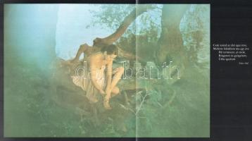 Szebeni András: Vallomás. Vas István verseivel. Bp., 1984, Szépirodalmi Könyvkiadó. Szebeni András f...