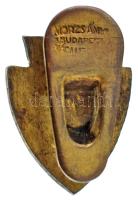 ~1930. "105. sz. Légvédelmi Tüzérosztály" zománcozott bronz gomblyukjelvény "Morzsány...