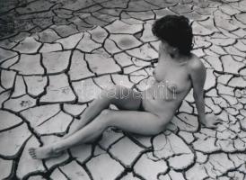 cca 1985 ,,Sellő a kiszáradt tómederben, szolidan erotikus felvétel, 1 db modern nagyítás, jelzés nélkül, 15x21 cm