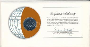 Olaszország 1979. 100L "FAO", "Nemzetek pénzérméi" felbélyegzett borítékban, bél...