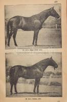 Gazdasági alapismeretek. Kézikönyv a m. kir. téli gazdasági tanfolyamok hallgatói részére. A m. kir....