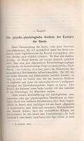 Anderson, J[erome] A[ugust]:
Die Seele, ihre Existenz, Entwickelung und wiederholte Verkörperung. D...