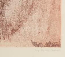 ifj. Imre István (1950- ): Lovak, rézkarc, papír, jelzett, számozott (57/100). Dekoratív, üvegezett ...