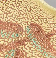 Gál Béla: Zsugormázas kínáló. Jelzett, hibátlan, 21x19 cm