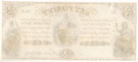 1852. 2Ft "Kossuth bankó", "D" sorozat, kitöltetlen T:AU
Hungary 1852. 2 Forint...