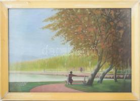 Salamon György (1948-): Vízparti pihenő (Balaton?). Olaj, farost, jelezve jobbra lent, üvegezett fakeretben, 52x74,5 cm