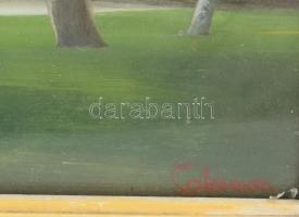 Salamon György (1948-): Vízparti pihenő (Balaton?). Olaj, farost, jelezve jobbra lent, üvegezett fak...