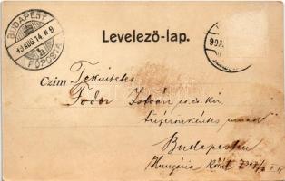 1899 (Vorläufer) Kőszeg, Hidegvíz gyógyintézet, szélmotor. Róth Jenő kiadása, Art Nouveau, floral (R...