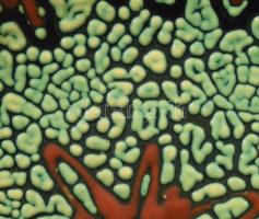 Király Gábor: Zsugormázas dísztál. Jelzett, kis kopással, d: 27 cm