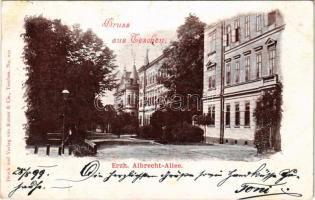 1899 (Vorläufer) Cieszyn, Teschen; Erzherzog Albrecht-Allee / street view. Druck und Verlag von Kutzer & Cie. (small tear)