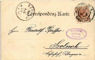 1899 (Vorläufer) Cieszyn, Teschen; Erzherzog Albrecht-Allee / street view. Druck und Verlag von Kutz...