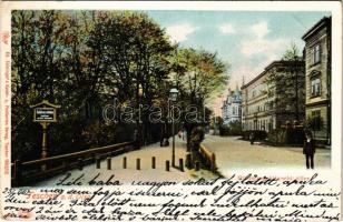 1902 Cieszyn, Teschen; Erzherzog Albrecht-Allee / street view. Ed. Feitzingers Kunst- u. Postkarten Verlag Teschen 1902/12. 456. Auto-Chrom (EK)