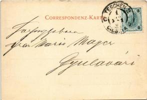 1902 Cieszyn, Teschen; Landschaft beim "Dritten Wehr". Verlag v. Fr. Wenzel (EK)