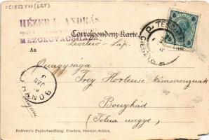 1903 Cieszyn, Teschen; Centralbahnhof / railway station, locomotive, train (b)