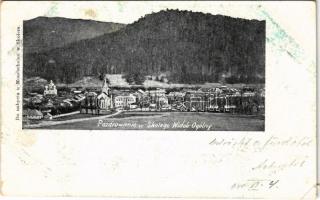1900 Skole, Widok ogólny / general view (fl)