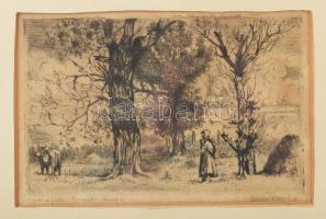 Csulak Elemér (1887-?): (...) fák. Rézkarc, papír. Jelzett Üvegezett, kissé sérült fakeretben, 15×24 cm