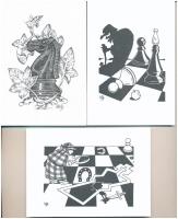 Sakk Egylet Nagyatád - 12 db modern képeslap tokban, a képeket készítette Dr. Kiss Borbála