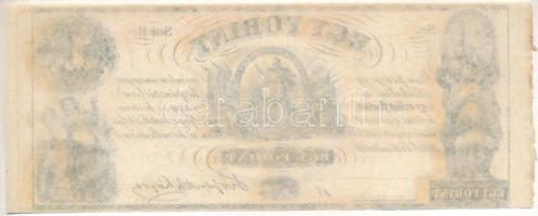 1852. 1Ft "Kossuth bankó", "B" sorozat, kitöltetlen T:AU
Hungary 1852. 1 Forint...