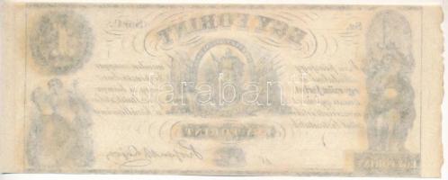1852. 1Ft "Kossuth bankó", "C" sorozat, kitöltetlen T:AU
Hungary 1852. 1 Forint...