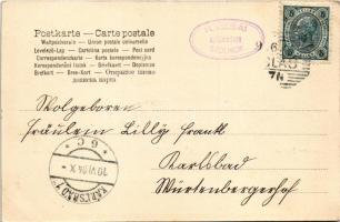 1904 Bad Vöslau, Grandhotel Bellevue, Marien-Villa / hotel, villa, spa (EK)