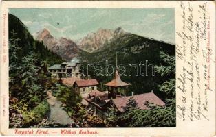 1906 Tátra, Magas-Tátra, Vysoké Tatry; Tarpatakfüred. Kiadja Schwidernoch Károly műintézete sz. 5205. / Wildbad Kohlbach (fl)