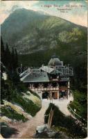 1906 Tátra, Magas-Tátra, Vysoké Tatry; Tarpatakfüred, szálloda. Dr. Trenkler Co. 1906. Tát. 12. / Kohlbachtal / valley, hotel (kopott sarkak / worn corners)