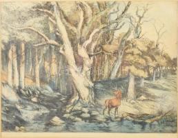 Zugor Sándor (1923-2002): Öreg erdő (szarvas). Színezett rézkarc, papír, jelzett, üvegezett fakeretben, 29×39 cm