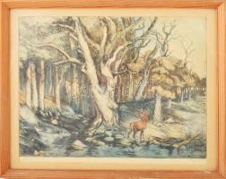 Zugor Sándor (1923-2002): Öreg erdő (szarvas). Színezett rézkarc, papír, jelzett, üvegezett fakeretb...