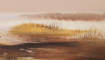 Reinhardt István (1936-): Tópart (Balaton?). Olaj, farost, jelzés nélkül, hátoldalán Képcsarnok Váll...