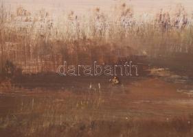 Reinhardt István (1936-): Tópart (Balaton?). Olaj, farost, jelzés nélkül, hátoldalán Képcsarnok Váll...