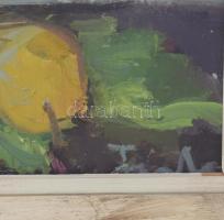 Farkas Lídia (1910-1985): Őszi csokor, olaj, farost, jelzett, hátoldalán autográf felirattal ás Képc...