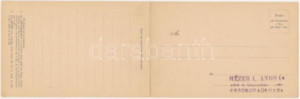 Znojmo, Znaim; Unterer Platz, Erste Mähr. Senf Fabrik, Weinhandlung en gros der Alois Haase' Sö...