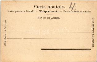 Rigibahn, Schnurtobelbrücke und Pilatus / rack railway, train