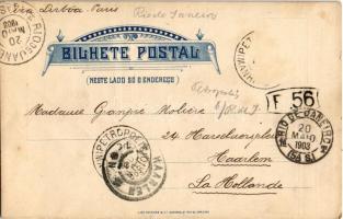 1903 Rio de Janeiro, Avenida das Palmeiras do Jardim Botanico / botanical garden, palm trees (fl)