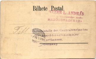 1899 (Vorläufer) Rio de Janeiro, Jardim botanico / botanical garden (small tear)